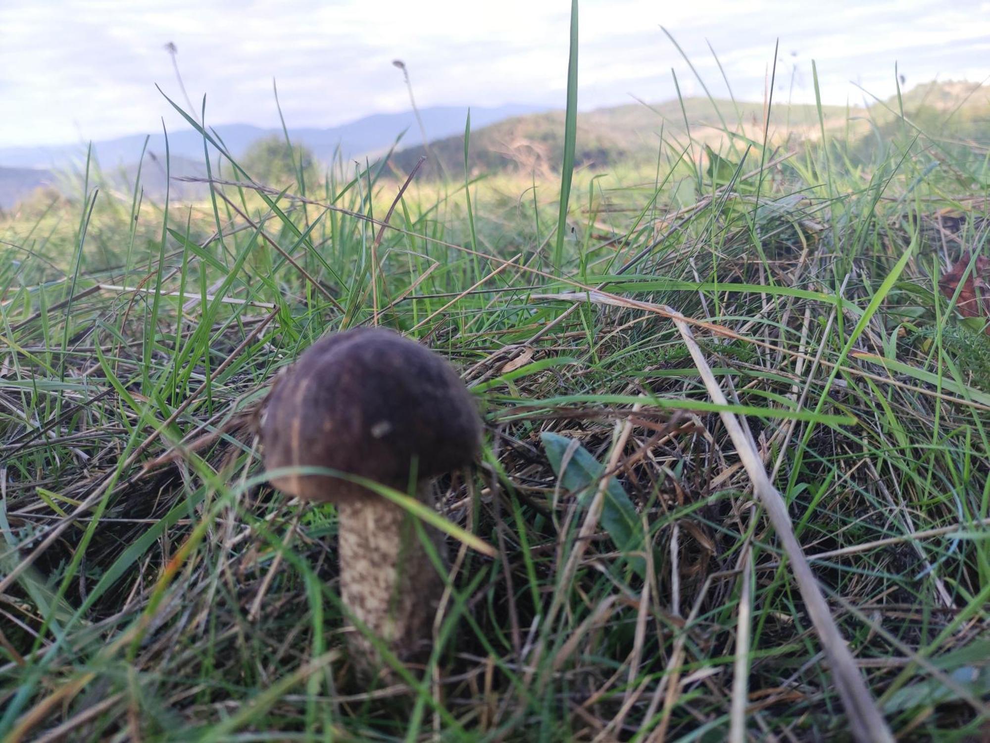 Chata Bobo Stozok Buitenkant foto